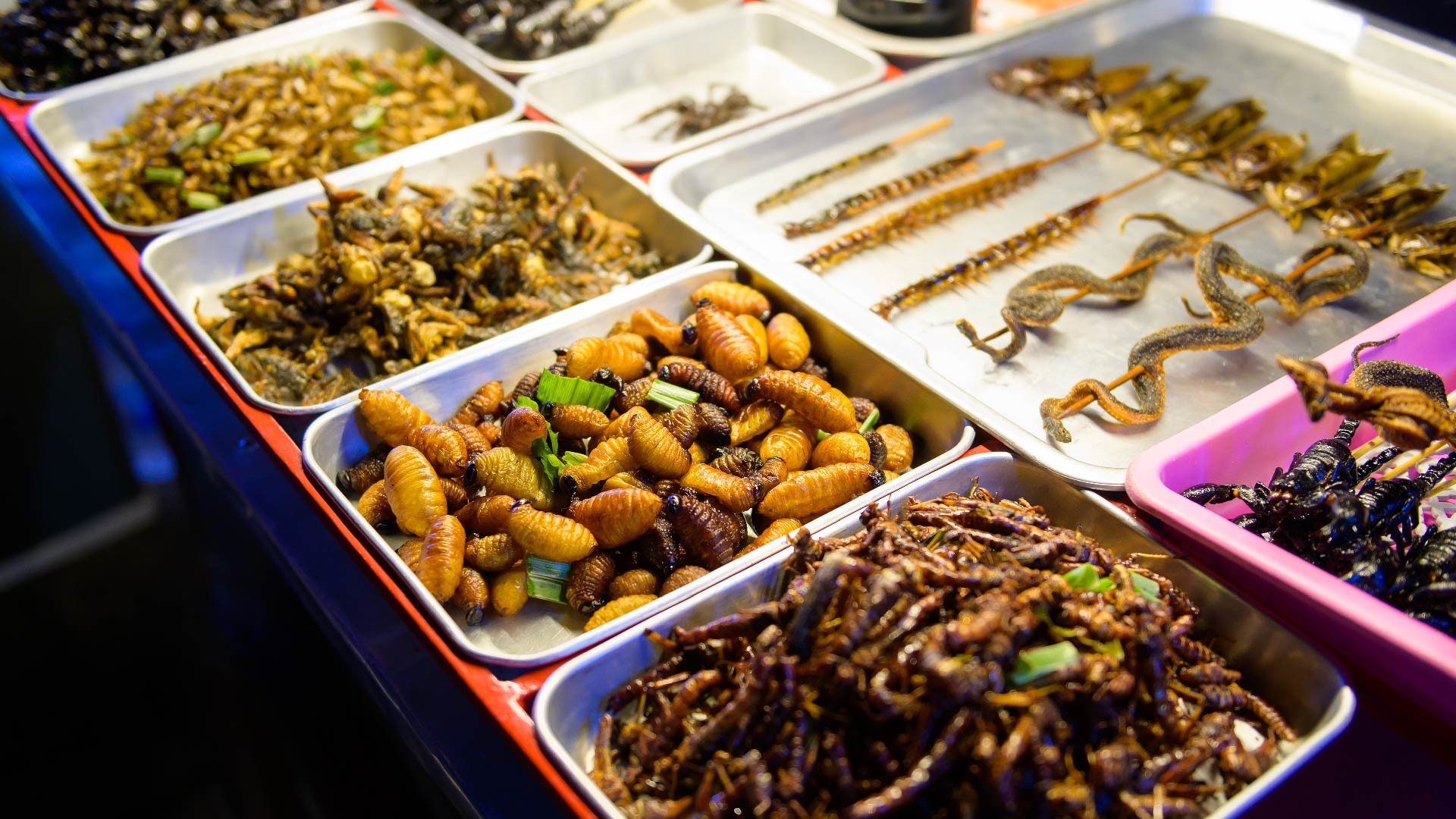 Futuro de los insectos en la ganadería. Una revolución sostenible